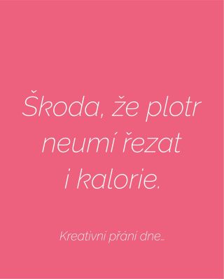 Možná to přijde v nějaké budoucí verzi… kdo ví. 😄 #VinylartCZ #PlotrLife #RezemeFolie #CraftHumor #Tvorime #SamolepiciFolie